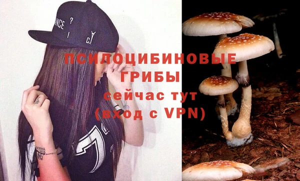 шишки Новодвинск