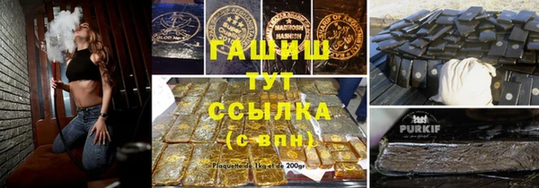 шишки Новодвинск