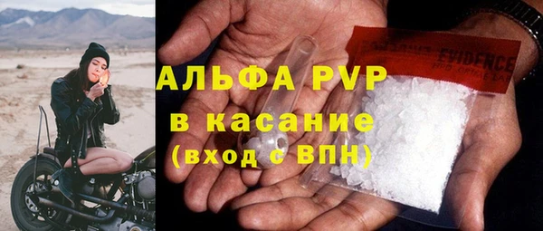 шишки Новодвинск