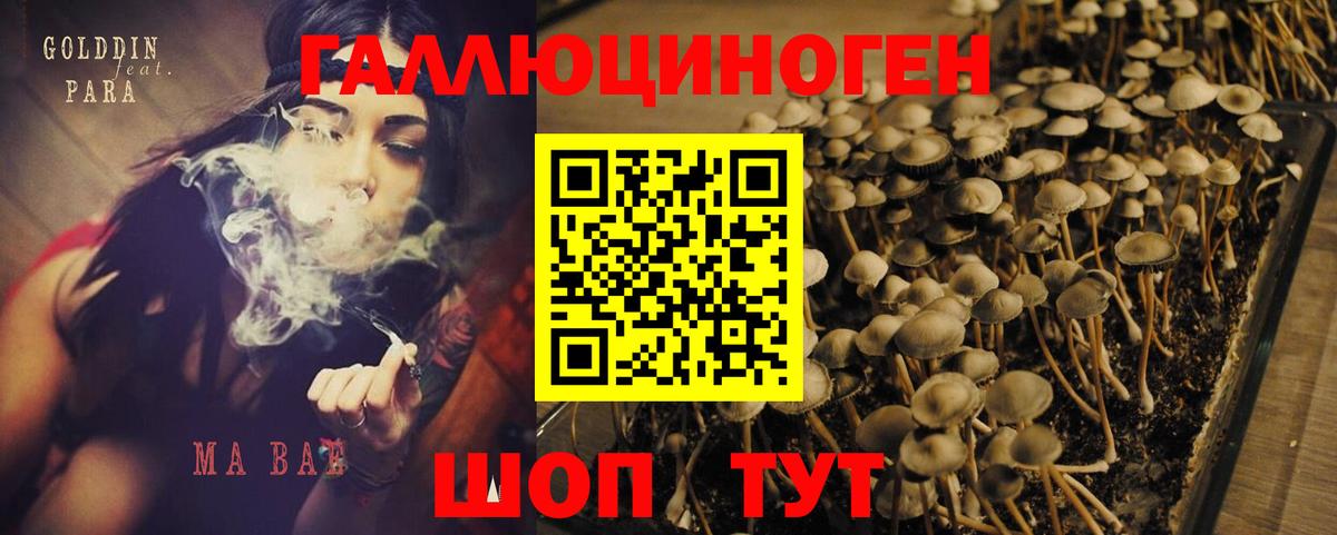 Псилоцибиновые грибы Cubensis Красноперекопск